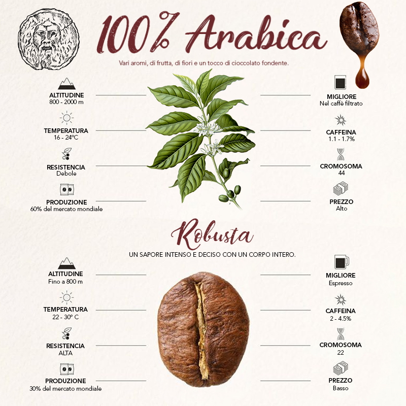 CAFFÈ MACINATO IDEALE PER MOKA TOSTATO INTENSO 100% ARABICA GUSTO